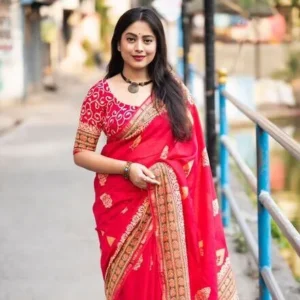 Pure Chanderi Cotton Saree