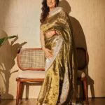MAHARANI TISSUE LACE SAREE VES-040